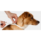 Msd Ah Scalibor collare antiparassitario per cani di taglia medio piccola 48 cm 