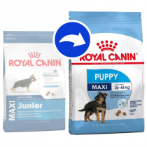 Royal Canin Mini Junior Razze Piccole