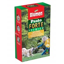 Blumen semi prato forte premium 500 g