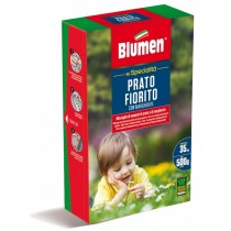 Blumen semi prato fiorito con margherite 500 g