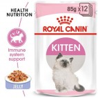 Cibo umido per gatti Royal Canin Kitten jelly 85 g confezione 12 pz.