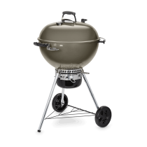 Barbecue a carbone Weber master touch GBS C-5750 Ø 57 cm smoke grey 14710004