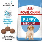 Crocchette per cani Royal Canin medium puppy 1 Kg