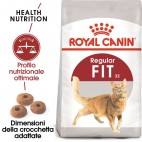 Crocchette per cani Royal Canin feline fit 32 400 g