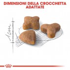 Crocchette per gatti Royal canin sensible 33 400 g