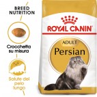 Crocchette per gatti Royal Canin persian adult 400 g