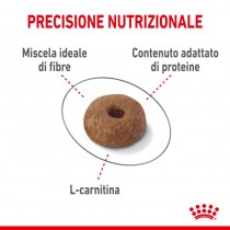 Crocchette per gatti Royal Canin light weight care 38 400 g