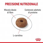 Crocchette per gatti Royal Canin light weight care 38 400 g