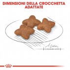 Crocchette per cani Royal Canin mini adult 800 g