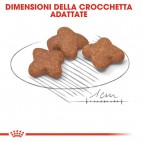 Crocchette per cani Royal Canin mini adult 8+ 2 Kg