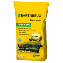 Semi per prato Barenbrug Resilient blue Lawn 5 Kg