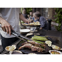 Weber piastra in ceramica modello grande