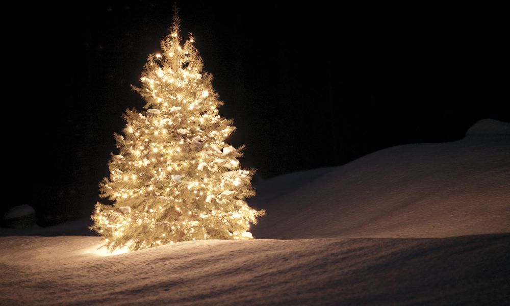 luci calde con albero di natale bianco innevato